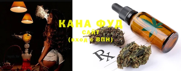 индика Абдулино