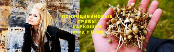 индика Абдулино